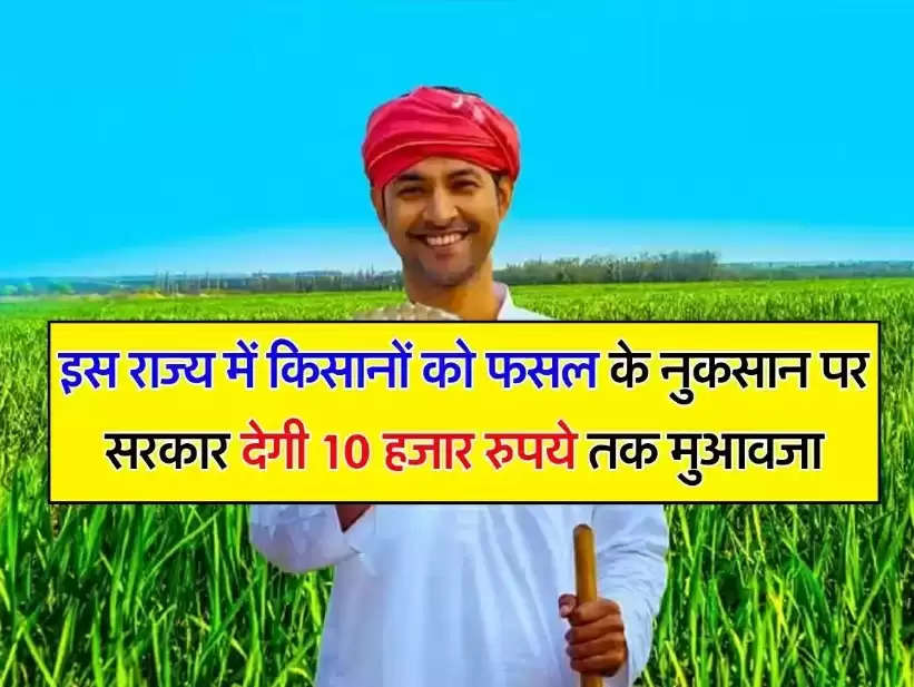 Kisan News: इस राज्य में किसानों को फसल के नुकसान पर सरकार देगी 10 हजार रुपये तक मुआवजा