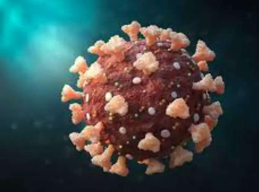 Coronavirus: कोरोना के नए वेरिएंट BF.7, XXB का दुनिया में तेजी से प्रसार