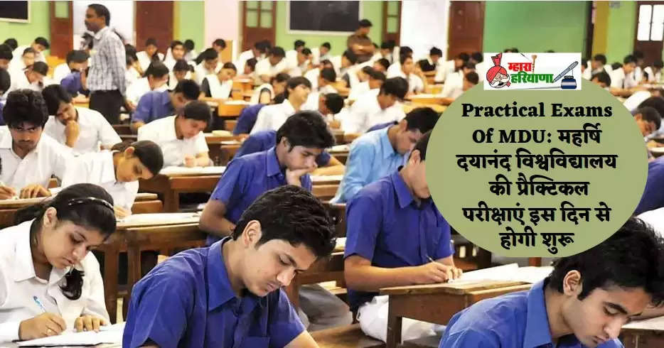 Practical Exams Of MDU: महर्षि दयानंद विश्वविद्यालय की प्रैक्टिकल परीक्षाएं इस दिन से होगी शुरू, जानें पूरी खबर