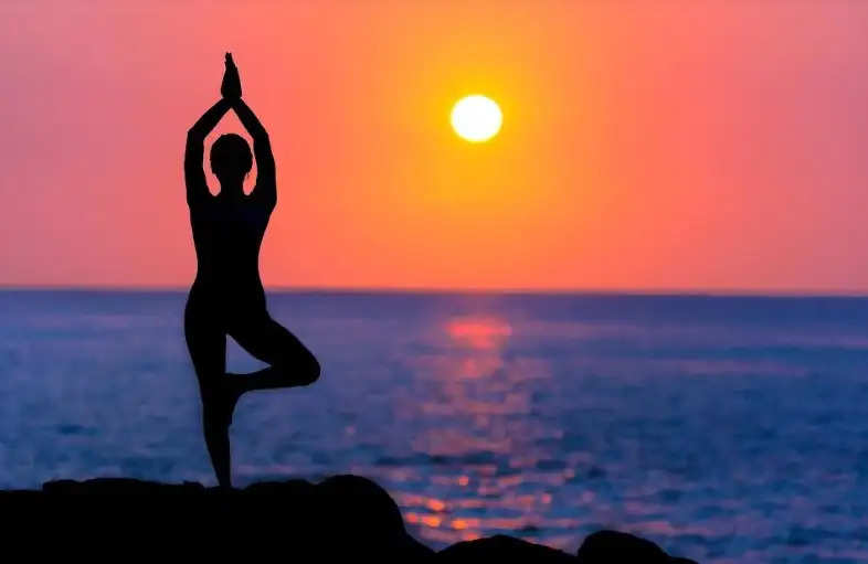 Yoga clubs will open in every school, college and university