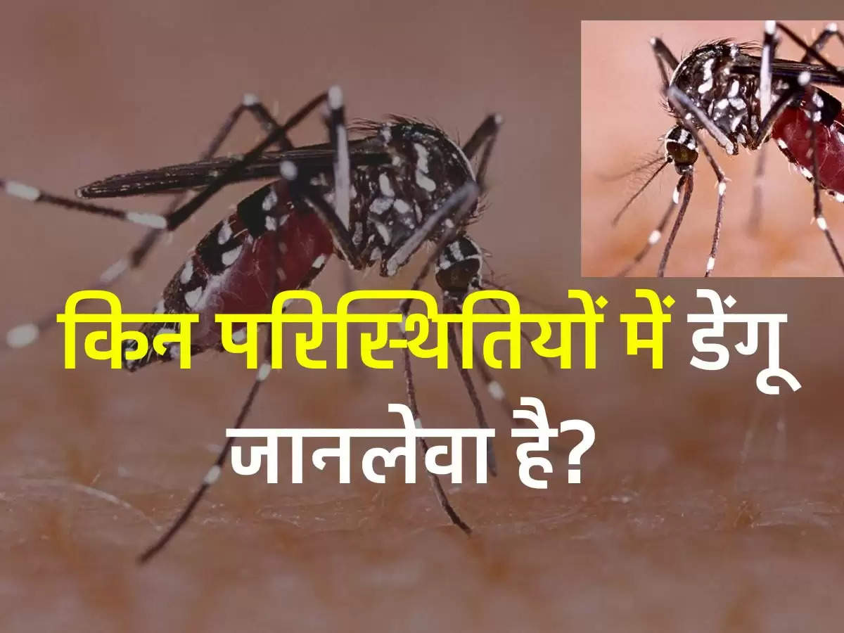 Dengue Fever: किन परिस्थितियों में डेंगू जानलेवा है? पता लगाएं कि ठीक होने में कितना समय लगता है