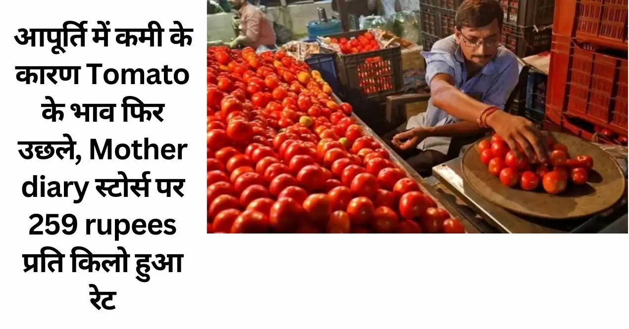 आपूर्ति में कमी के कारण Tomato के भाव फिर उछले, Mother diary स्टोर्स पर 259 rupees प्रति किलो हुआ रेट