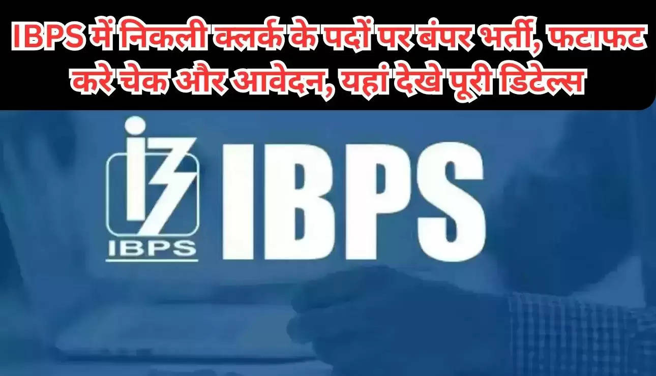 IBPS में निकली क्लर्क के पदों पर बंपर भर्ती, फटाफट करे चेक और आवेदन, यहां देखे पूरी डिटेल्स