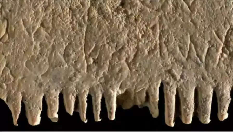 इजरायल में मिली 3700 साल पुरानी कंघी
