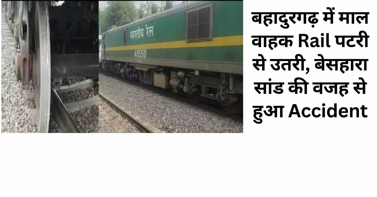 बहादुरगढ़ में माल वाहक Rail पटरी से उतरी, बेसहारा सांड की वजह से हुआ Accident