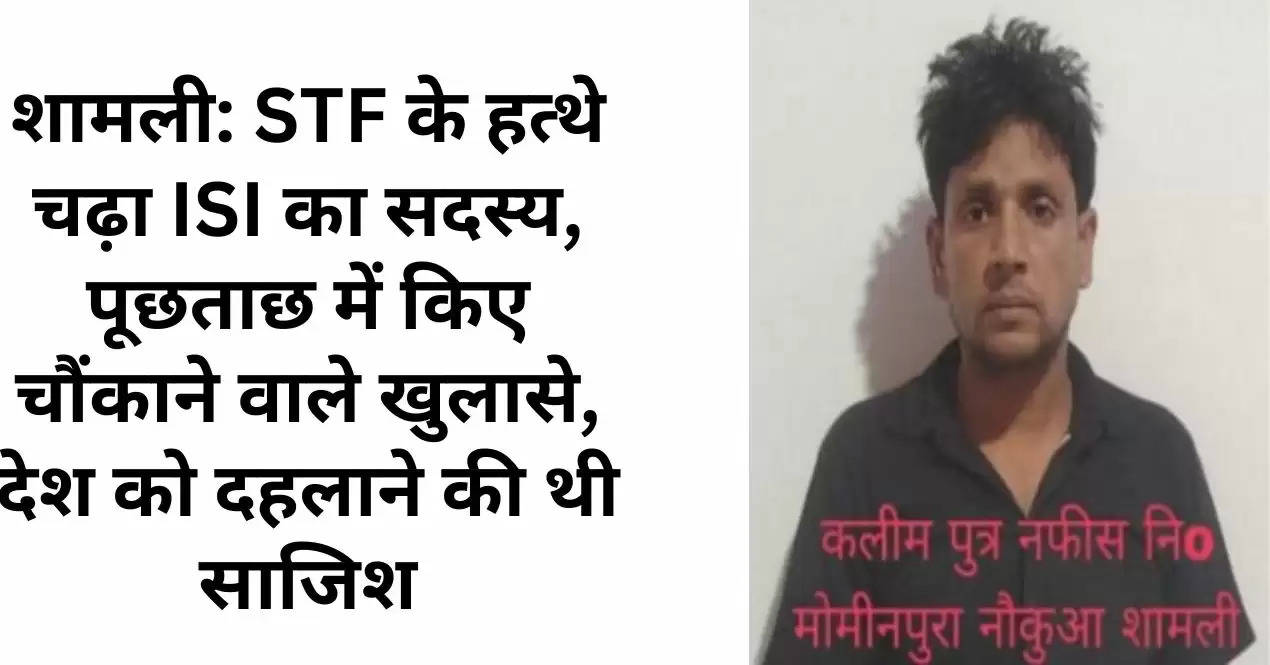 शामली: STF के हत्थे चढ़ा ISI का सदस्य, पूछताछ में किए चौंकाने वाले खुलासे, देश को दहलाने की थी साजिश